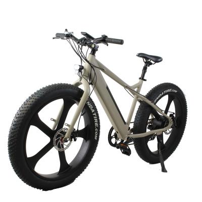 China Aluminum Alloy Fat Tire Electric Bike Ebike With 48V11.6Ah Battery for sale