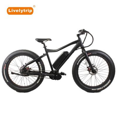 China Bafang Mid Drive Aluminum Alloy Internal Hub/Fat Tire Bicycle Sunface Speed ​​Electric Snow Bike for sale