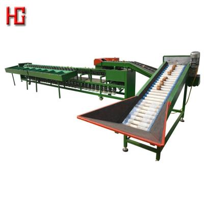 China Fruit gate automatic fruit sorter/weigh sorter/grading production line for prickly pear kiwi apple mango orange tomato for sale