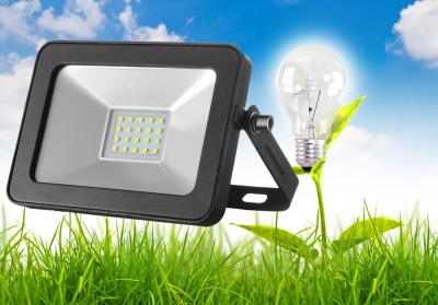 China Brightest 10W IP65 Led Flood Light Dustproof For Garden / Park for sale