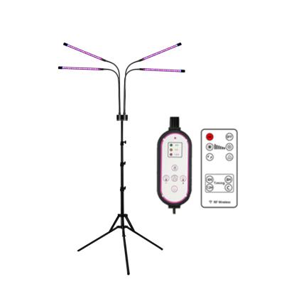 China Dimming Remote Control 40W LED Grow Light Full-Spectrum Plant Light with Stand Growing LED Light for Plant Growth for sale