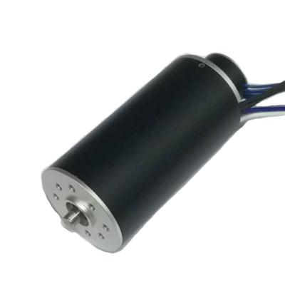 China 2248EM 36V 48V 12V 24V 22mm Explosion Proof Brushless DC Servo Motor with Encoder for Industrial Medical Equipment for sale