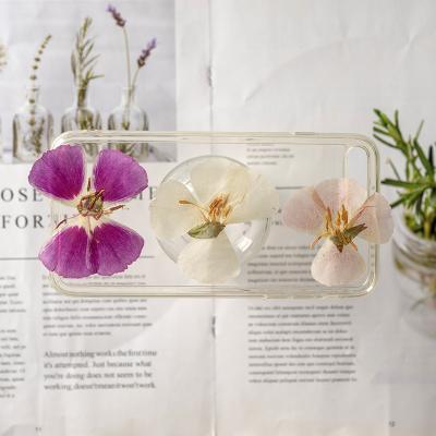 China New and Universal Multifunctional Style Dry Pressed Flowers Plant Material Specimen Leaves Hand-stick Glue Diy Landmark Wall Decoration for sale