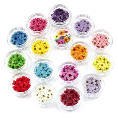 China Multifunctional and universal wholesale dry flowers drip glue mobile phone case DIY materials nail jewelry handmade materials for sale