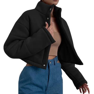 China 2021 Winters Reversible Collar Stand Cropped Casual Parkas Women Fashion Stripper Jacket Oversized Thick Overcoat For Women for sale