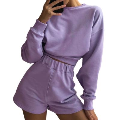 China Anti-wrinkle oem custom private label gym shorts hoodies womens long sleeve comfortable single hoodie crop top pullover crop top 2 piece sets for sale