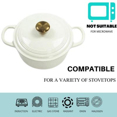 Chine Four néerlandais libre de la cocotte en terre 21/22cm de fonte de rouille pour 2-4 personnes à vendre