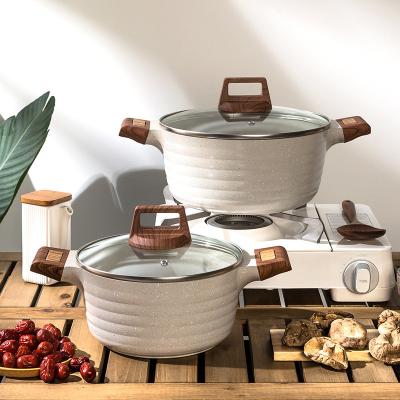 中国 Custom Non-Stick Aluminum Stockpots With Lid Medical Stone Coating 販売のため