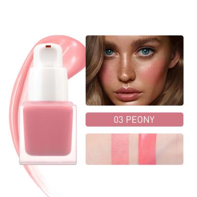 China Waterproof Variety Of Styles High Quality No Logo OEM Wholesale Frosted Tube Liquid Blush And Lip for sale