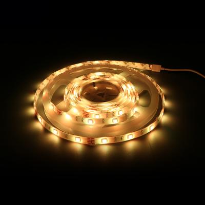 China Residential RGB LED Strip 5M Thin LED Strip Lights Mini Flexible LED/Color Led Lights ip65 for sale