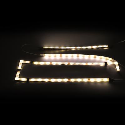 China Residential 3528 / 5050 Led Flexible Strip Light DC12V Waterproof IP65 Led Strip Light for sale