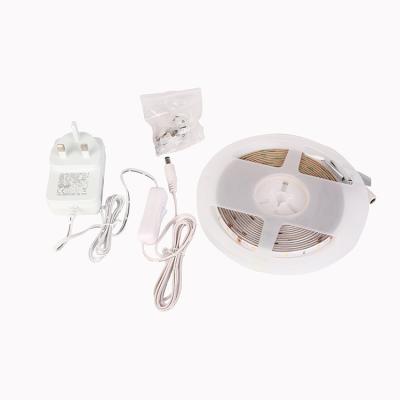 China Decorative Lighting SMD 2835 Decorative Lighting Waterproof Led Flexible Strip Light for sale