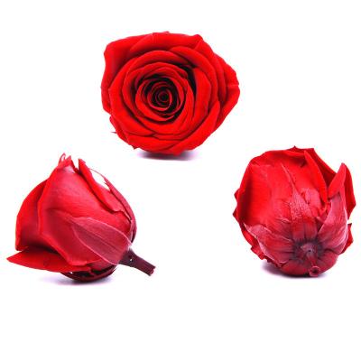 China Yunnan green factory 4cm high quality environmental protection preserved roses preserved roses as valentines day gifts for sale