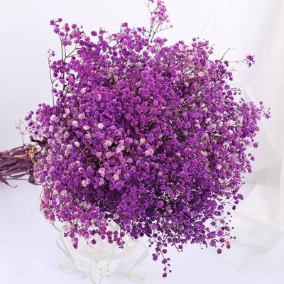 China Best Selling Green Gypsophila Flower Premium Grade Environmental Protection Dry Preserved Babies Breath for sale