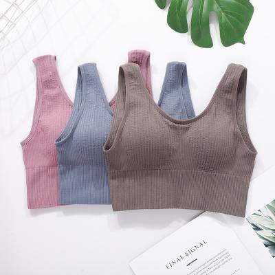 China Breathable Shockproof Without Steel Ring No Trace Gather Type Sports Bra With Thick Straps for sale