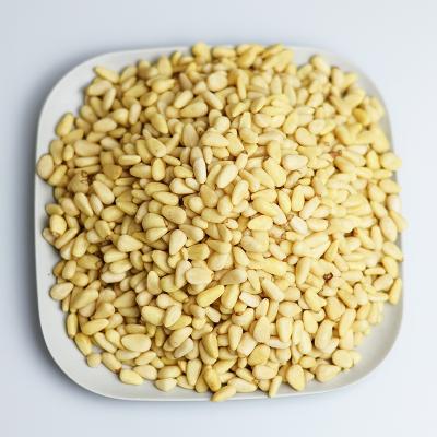 China Snack Gable/Cedar Pine Nut For Sale Wholesale for sale