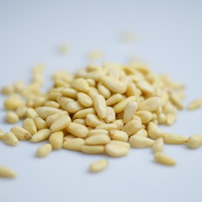 China Wholesale Chinese Cheap Bulk Blanched Pine Nuts Kernels From Snacks Factory for sale