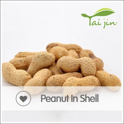 China Import dry raw peanut in shell for sale