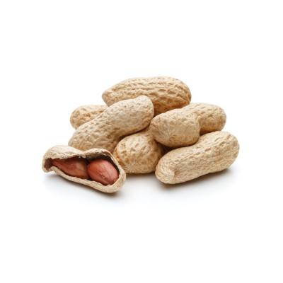 China Dry Directly Supply Raw Bulk Peanut Shell Peanut With Different Specification for sale