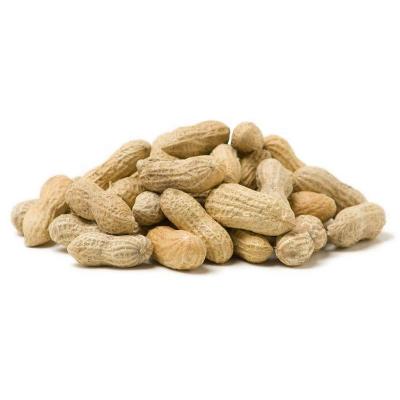 China Factory Supply High Quality Dried Peanut In Peanut Shell And Kernel Price With Best Price for sale