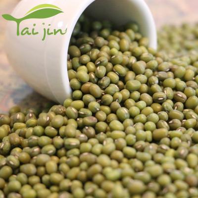 China Mung Bean Sprout Grade A Price Green Dry High Quality Mung Beans for sale