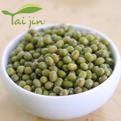 China 97% Dry Rate Green Mung Beans Germination Specification for sale