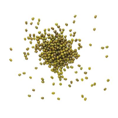 China Export Wholesale Nature Green Dried Chinese 100% Mung Beans Moong dal for sale