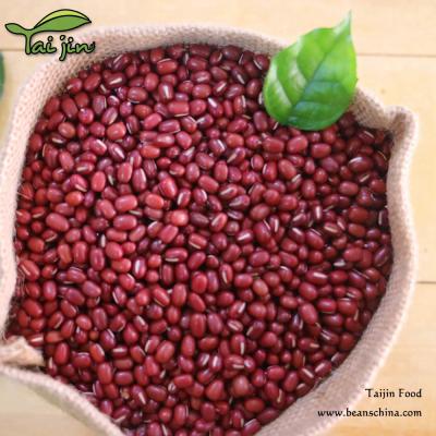 China Small Chinese Red Adzuki Bean Dry Different Type Hot Sale for sale