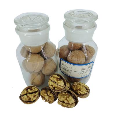 China Factory Wholesale Dry High Nutrition A Grade Natural Thin Skin Organic North Walnut for sale