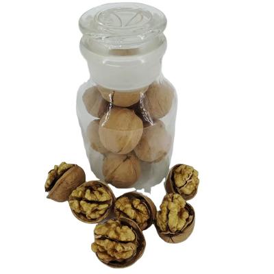 China Hot Sale Dried Fresh Organic Walnut A Grade Natural Healthy North Susceptible Walnut for sale