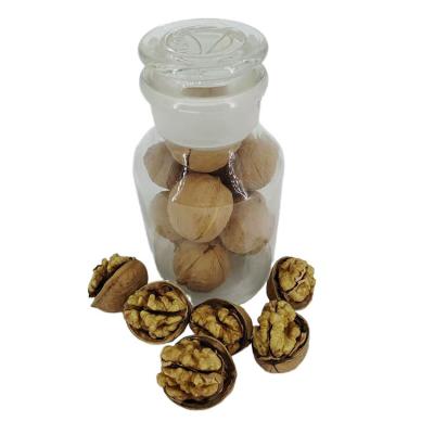 China Seller Supply China North High Nutrition Healthy Nuts Fresh Natural Nuts Dry Fresh Natural Nuts for sale