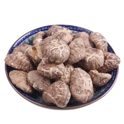 China Tea Flower Dried Shiitake Mushrooms for sale