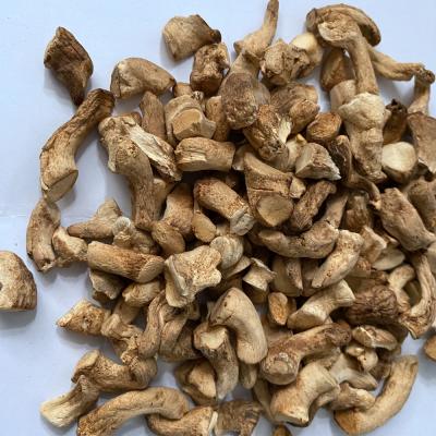 China Dried cultivated brown dried stalk of shiitake mushroom for sale