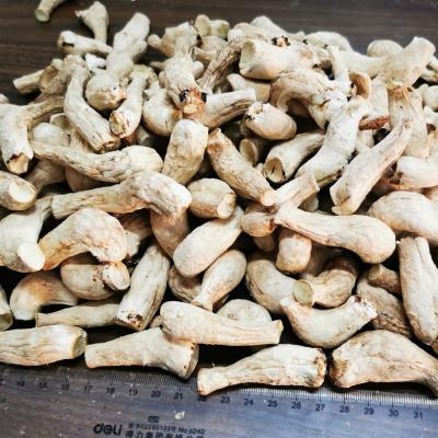 China Dried Cheap Price Double Cutted Dried Shiitake Mushroom Stem for sale