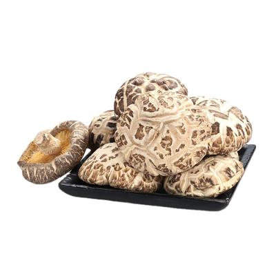 China DaShanHe Dried High Quality 1kg Best Price Dried White Flower Edible Shiitake Mushroom for sale