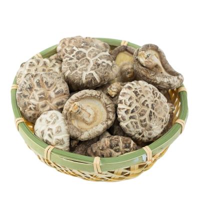 China High Edible Value Dry Chinese Shiitake Mushroom for sale