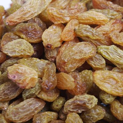 China Xinjiang Non-Added Seedless Green Dried Raisins Dried Grapes For Sale for sale