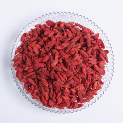 China Nutritious goji berry china fruit wolfberry for sale