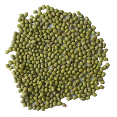 China No Addition Premium Quality Porcelain Green Mung Beans for sale