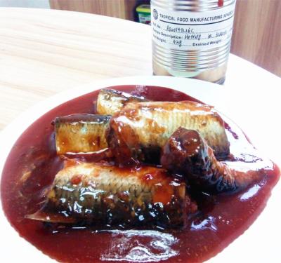 China Canned canned herring fish in tomato sauce and vegetable oil for sale