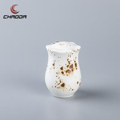 China Exquisite Salt Shaker For Kitchen Hotel Shaker Spice Keepers Sugar Bottles Freshness Preservation Chaoda Top Home Pepper for sale