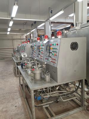 China High Pressure Sample Dyeing Machines Equipment 6KG SUS316L for sale