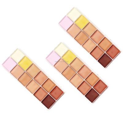 China Acne / Spot Removing OEM Private Label Professional 12 Colors Waterproof Pro Concealer High Quality Palette Concealer for sale