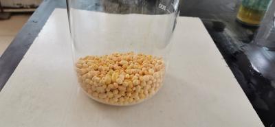 Chine Granule amylique Cas 2720 du xanthate Pax 90% de potassium de processus de réactifs d'or 73 2 à vendre