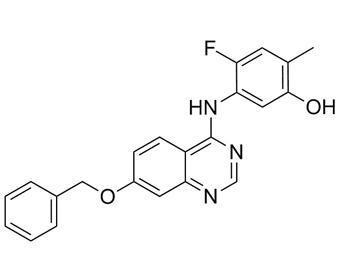 Cina Chinasi della tirosina di CAS 193001-14-8 VEGF R2 degli inibitori di ZM323881 VEGFR in vitro in vendita