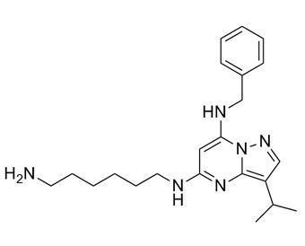 Cina Inibitori altamente selettivi BS-181 Cas 1092443-52-1 di CDK in vendita