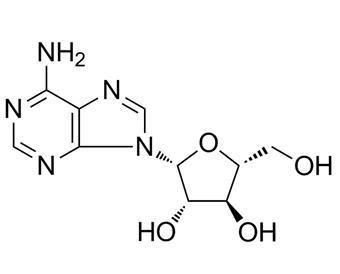 China Vidarabine cas 5536-17-4 for sale