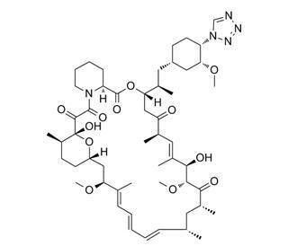 Cina Inibitori Cas 221877-54-9 di ABT-578 Zotarolimus MTOR in vendita