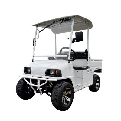 China Activity Stage Performance China Grade CE Golf Carts Free Driving Electric Car Long Range Mini Electric Food Truck for sale