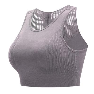 China Fashion Breathable Mesh Fitness Layer Full Coverage Sports Bra Microbial Resistant Bra for sale